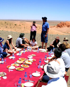 Mongolia highlight tour: southern, northern & central Mongolia
